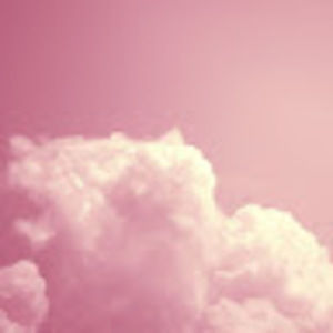 Meet your Posher, Misty